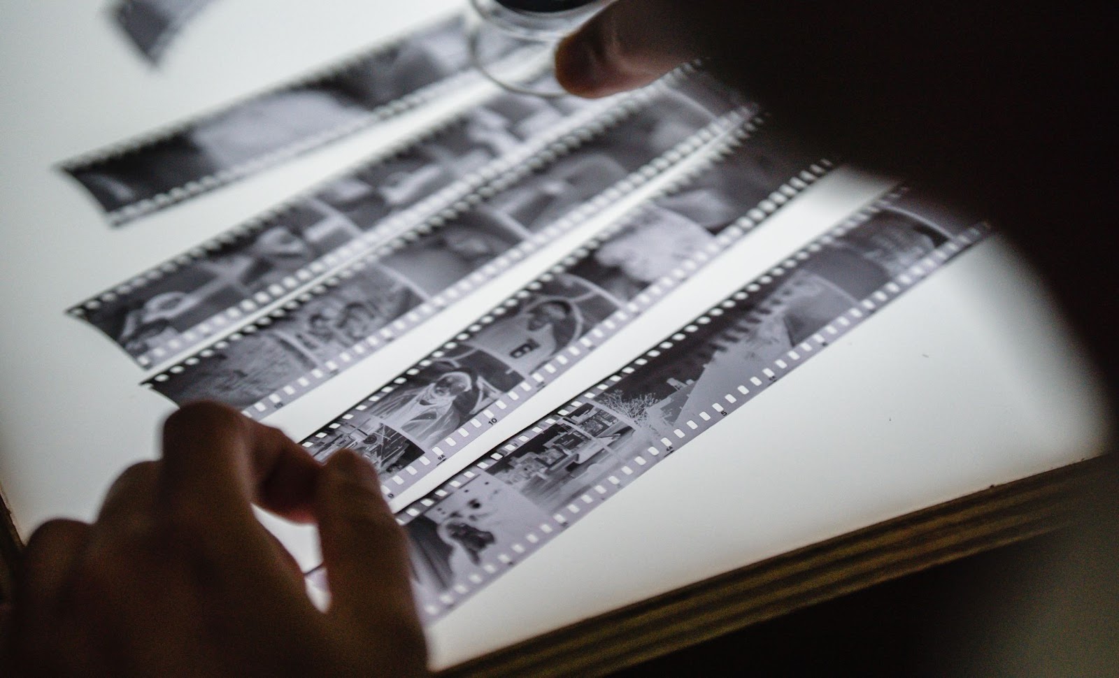 film negatives on a light box
