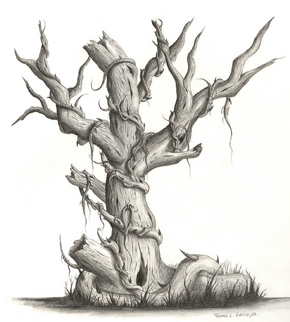twisted tree underground background chamber detail.jpg