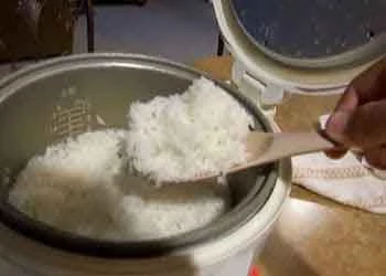 rice-cooker