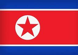 Image result for north korea flag