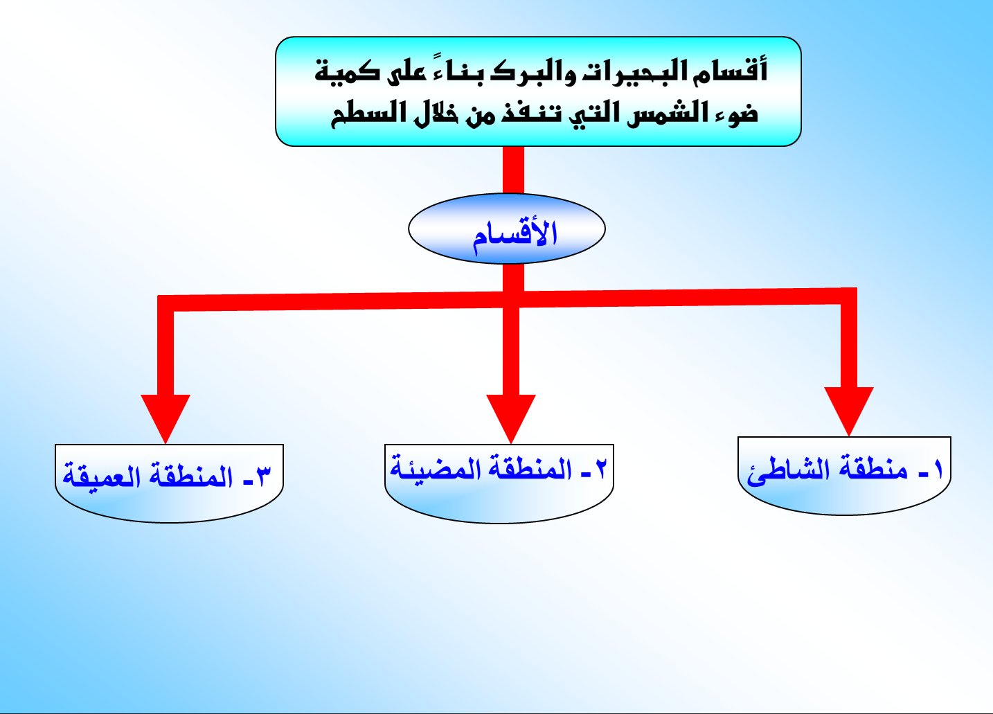 من أنواع الأنظمة البيئية الانتقالية؟