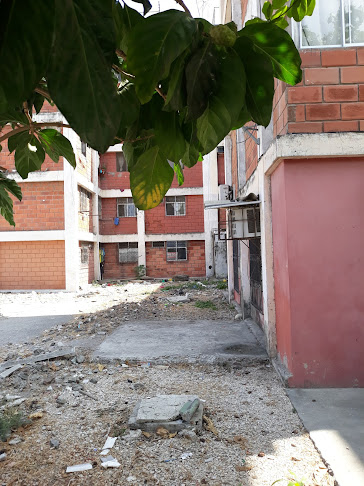 Escuela De Educacion Basica Luis Chiriboga Manrrique
