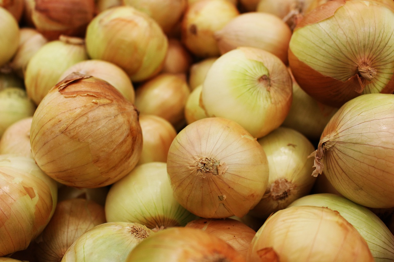 the flavonoids flavanols give onions their flavour