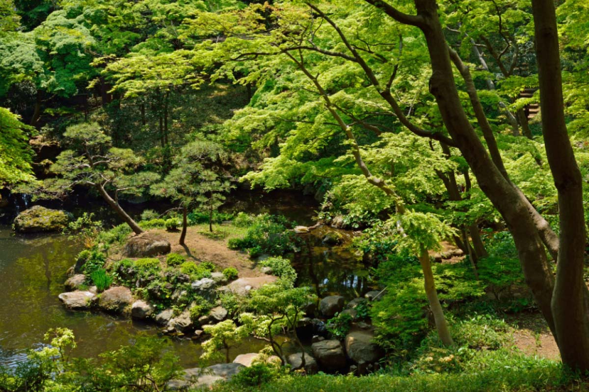 6 สวนสาธารณะ สำหรับการปิคนิคของคุณและครอบครัว ที่ต้องไปเยือนสักครั้งในเมืองโตเกียว ! 5