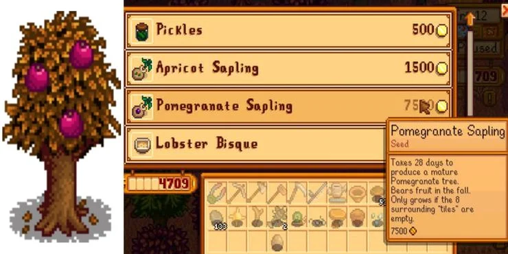 pomegranate fruit to make wine in stardew valley