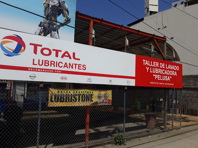 Taller De Lavado Y Lubricadora Pelusa - Servicio de lavado de coches