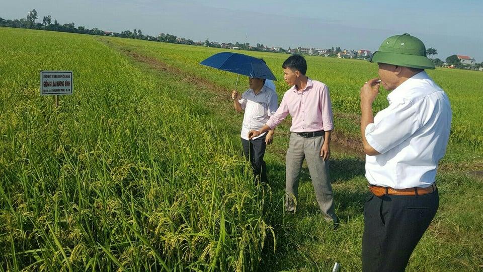 Hà Tĩnh: Làm giàu trên chính mảnh đất quê hương