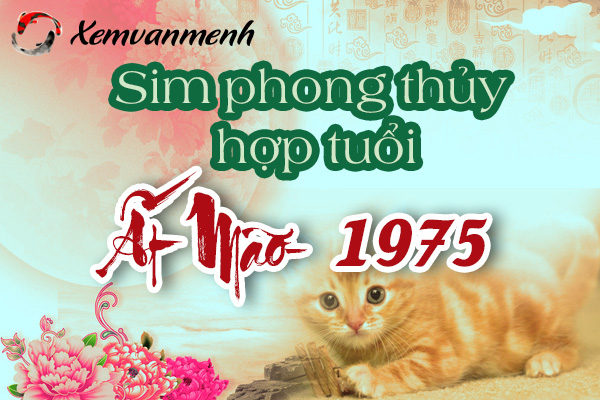 xem-sim-phong-thuy-hop-tuoi-at-mao-1975