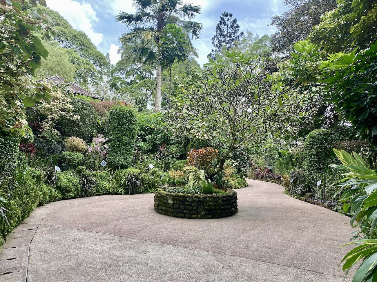 Celebrity Garden