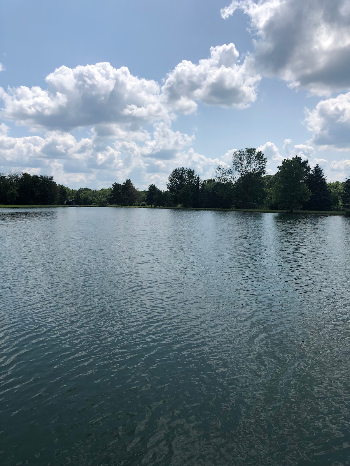 Photo of a peaceful pond on a partly cloudy day