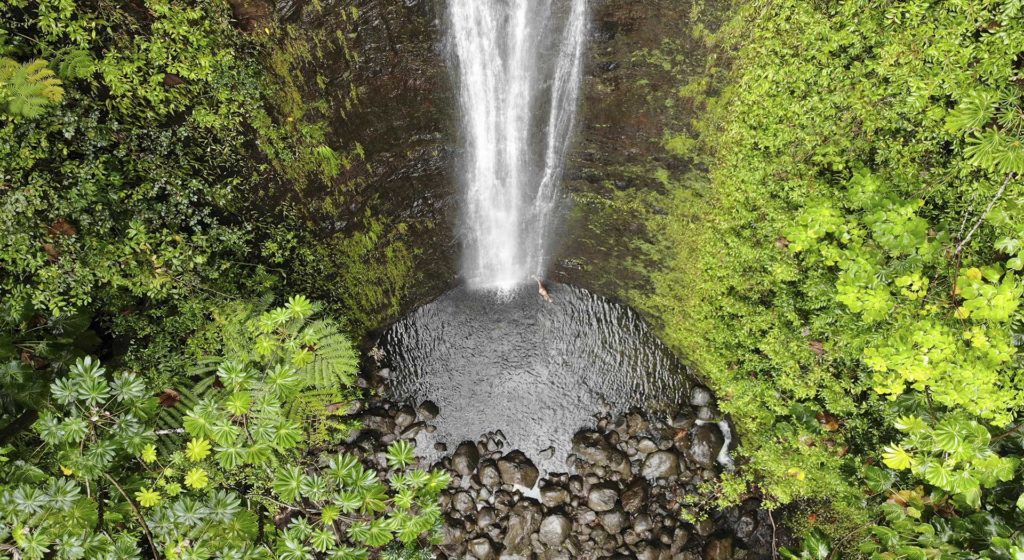 Easy Must Hikes in Oahu