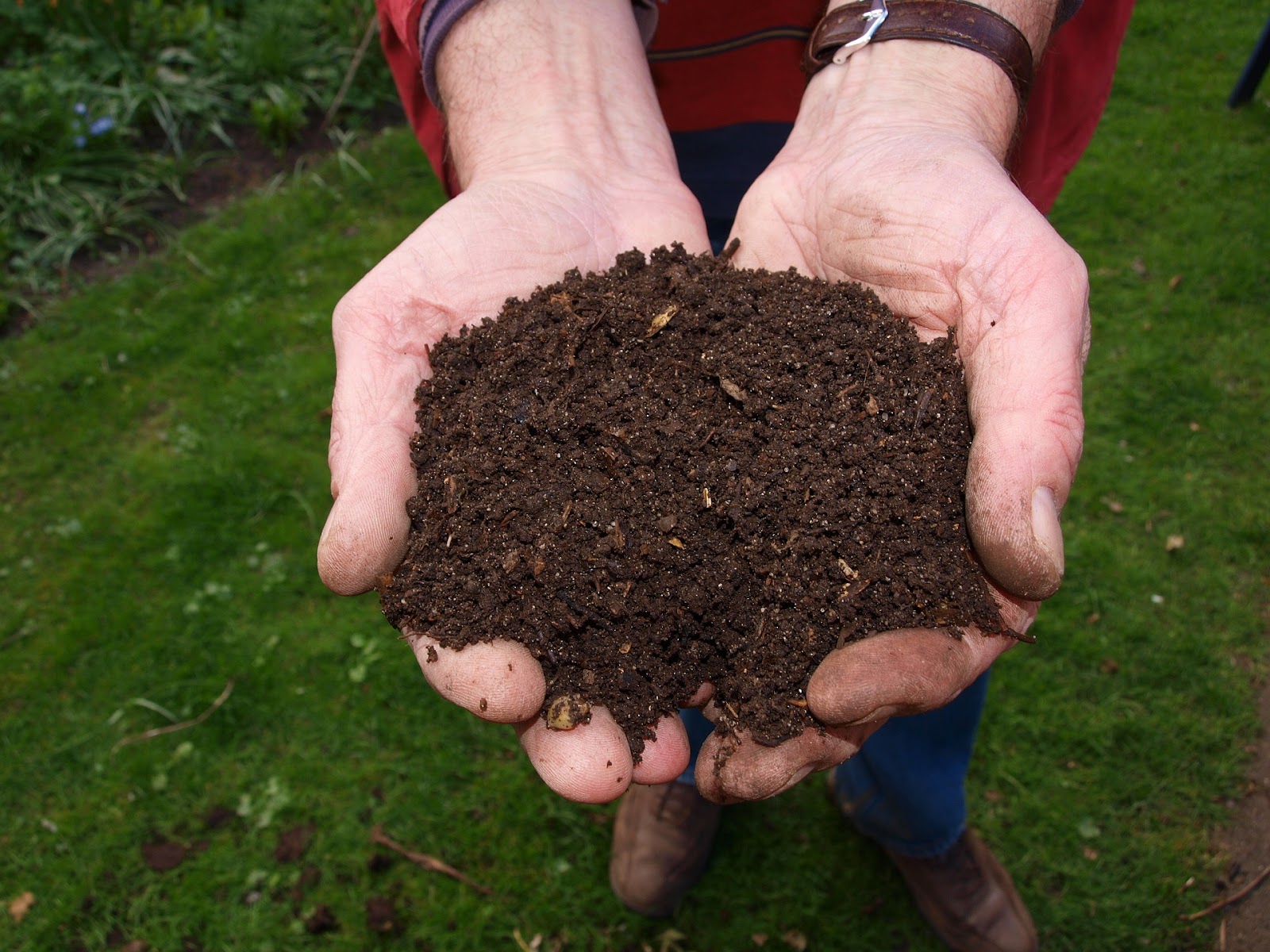 compostable nappies