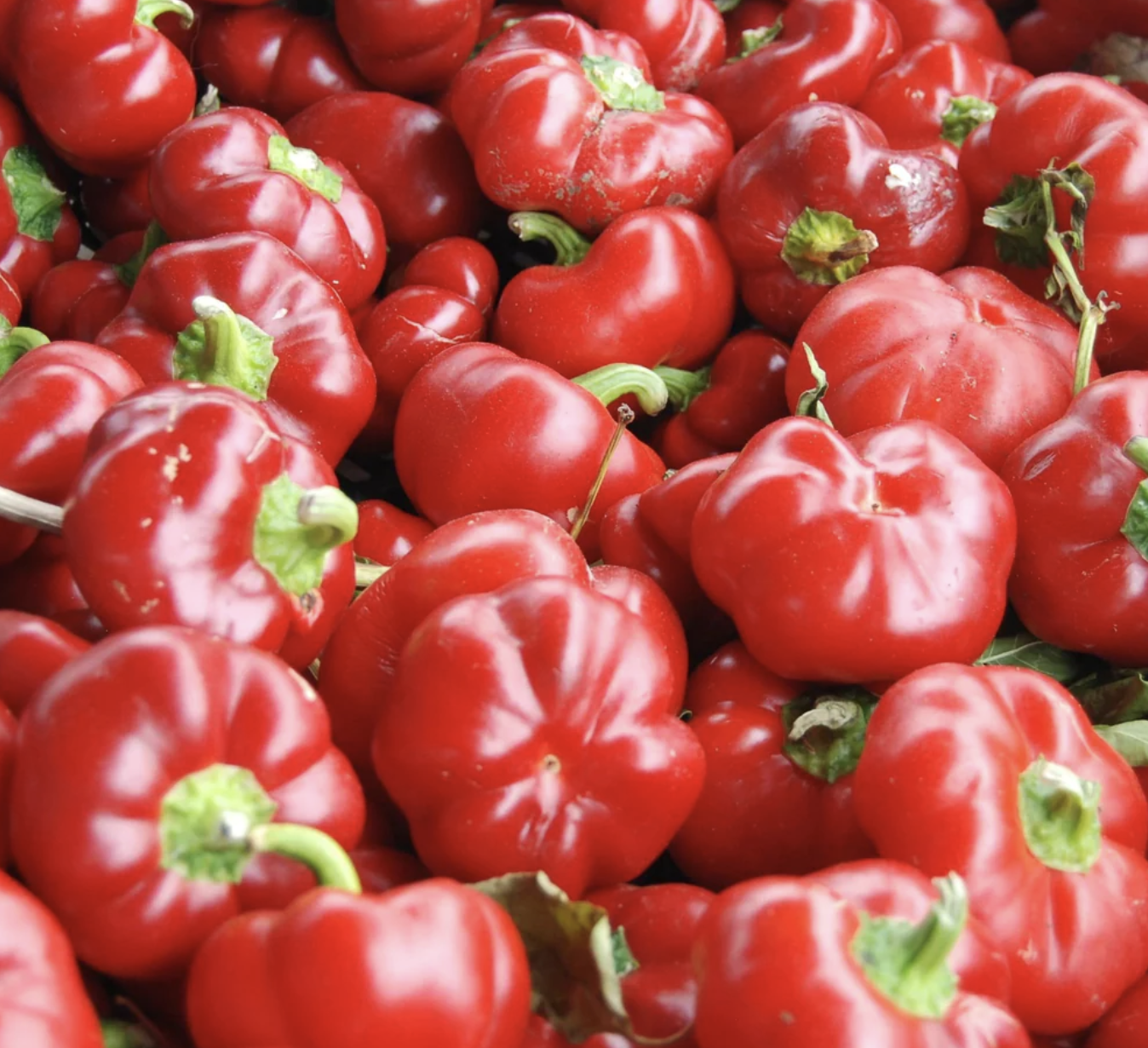 Sweet Pimento Pepper