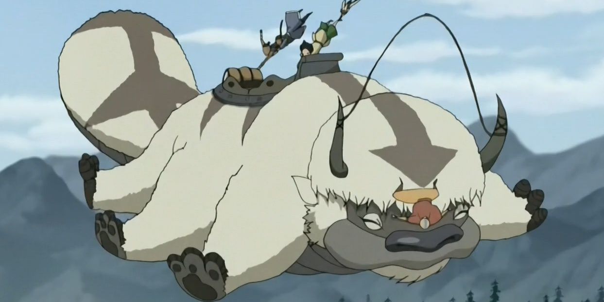 Appa  Anime animals