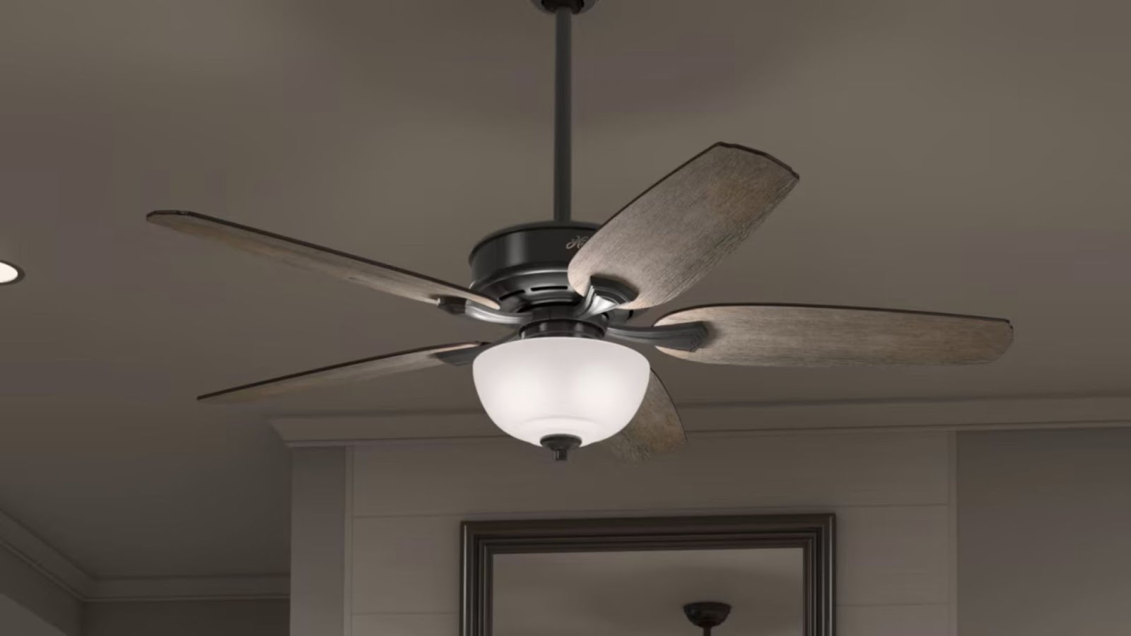 Smart Ceiling Fan With Light