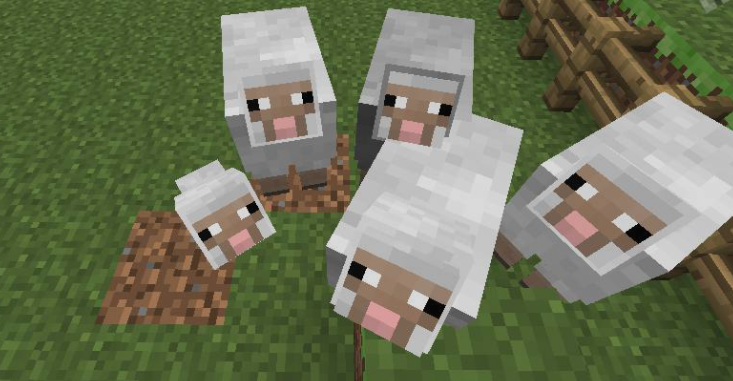 sheeps in minecraft