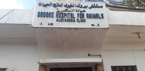 مستشفى بروك الخيرى لعلاج الحيوان