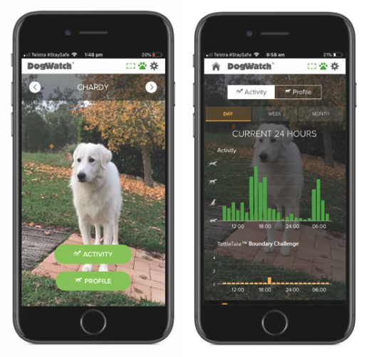 App- Integrated Electronic Dog Collars 