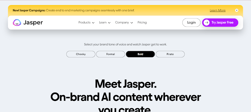 A screenshot of Jasper's website