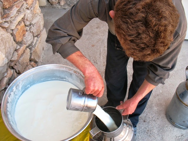 Hеделя с монахами монастыря Mar Musa (Сирия)