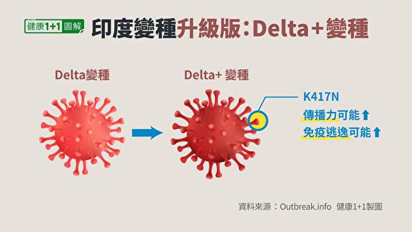 Delta Plus在刺突蛋白发生了K417N突变。（健康1+1／大纪元）