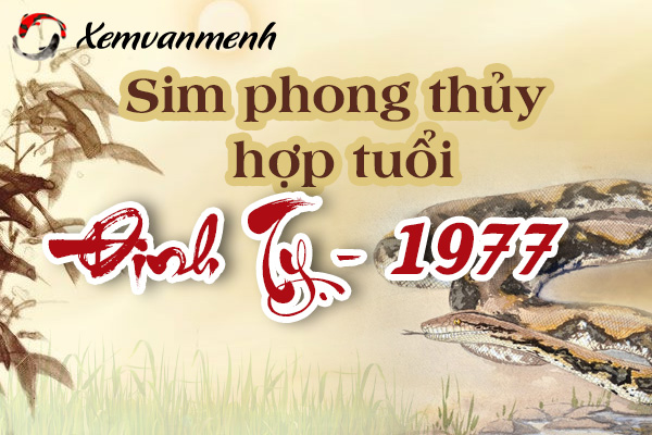 xem-sim-phong-thuy-hop-tuoi-dinh-ty-1977