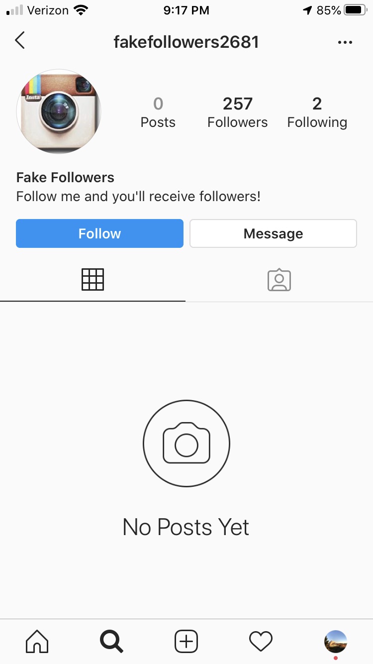 Instagram audit fake followers