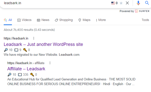 LeadsArk Review old website indexed Google