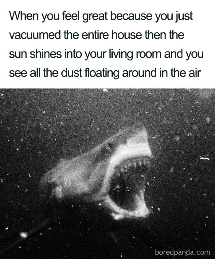 shark-cleaning-meme