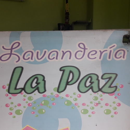 Opiniones de Lavandería La Paz en San Miguel - Lavandería