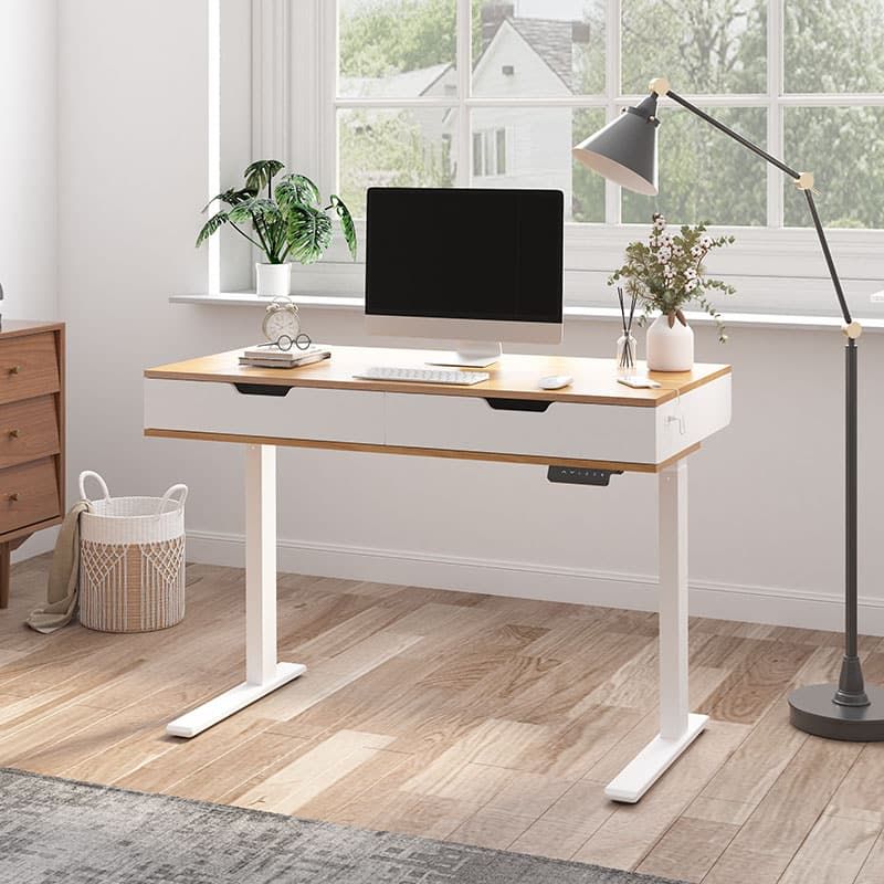 Standing Desk EHD2