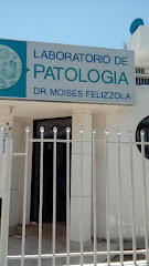 Laboratorio de Patologia Dr. Moises Felizzola