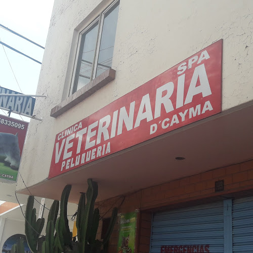 Clinica Veterinaria D'Cayma - Cayma