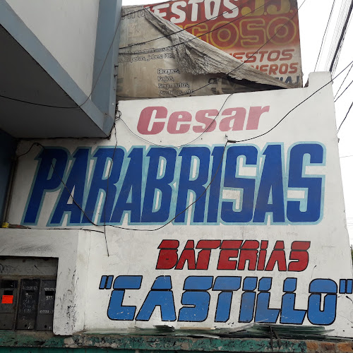 "Cesar Parabrisas" - Tienda de ventanas