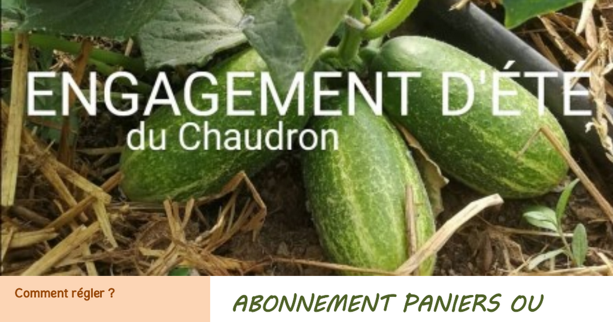 2021_Engagement été_chaudron.pdf - Google Drive 2021_Engagement été_chaudron.pdf