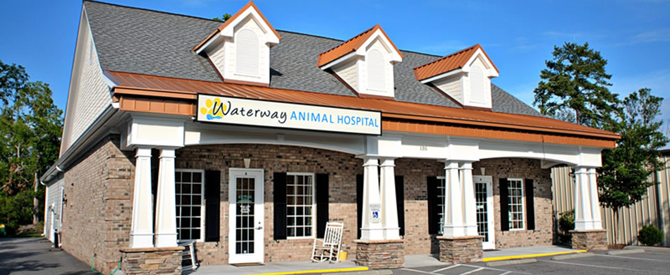 Waterway Animal Hospital