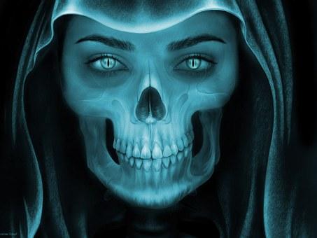 skull-657477__340