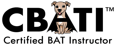 CBATI-color-logo-medium.jpg