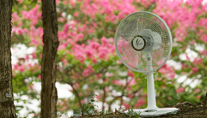 Use a fan to promote wind 