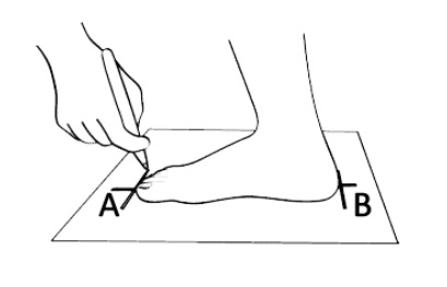 Per garantire il numero corretto della calzatura misura la lunghezza del tuo piede e scrivi nel forum la misura in cm.