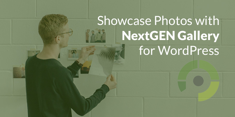O guia para iniciantes para exibir suas fotos com a galeria NextGEN