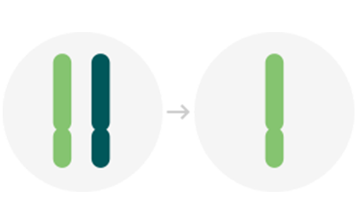 genetic_test