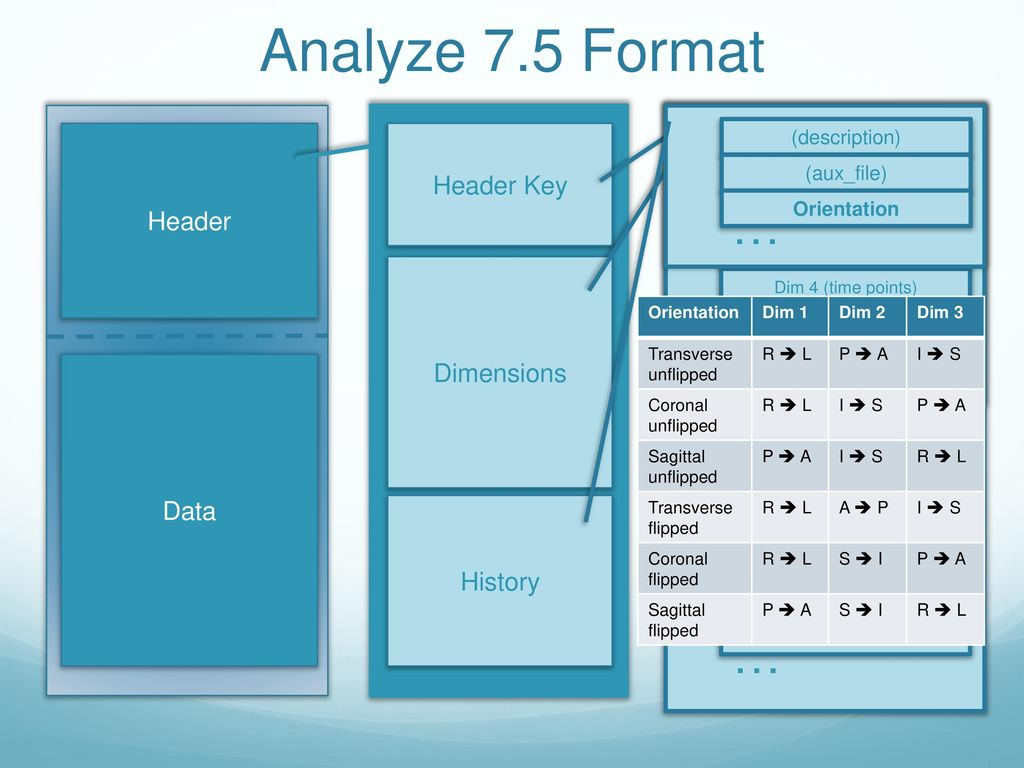 The structure of the Analyze medical file format