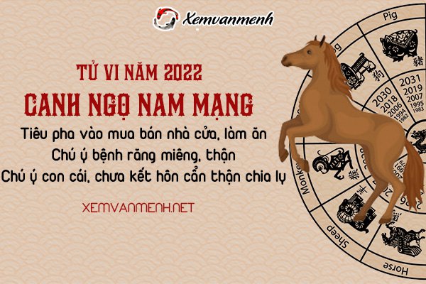 tu-vi-tuoi-canh-ngo-nam-2022-nam-mang-1990