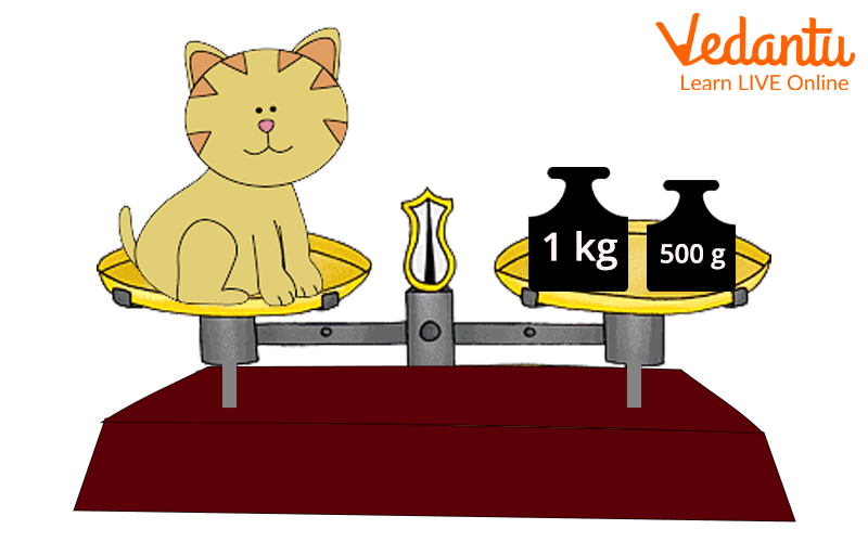 Expressing Weight Using a Example
