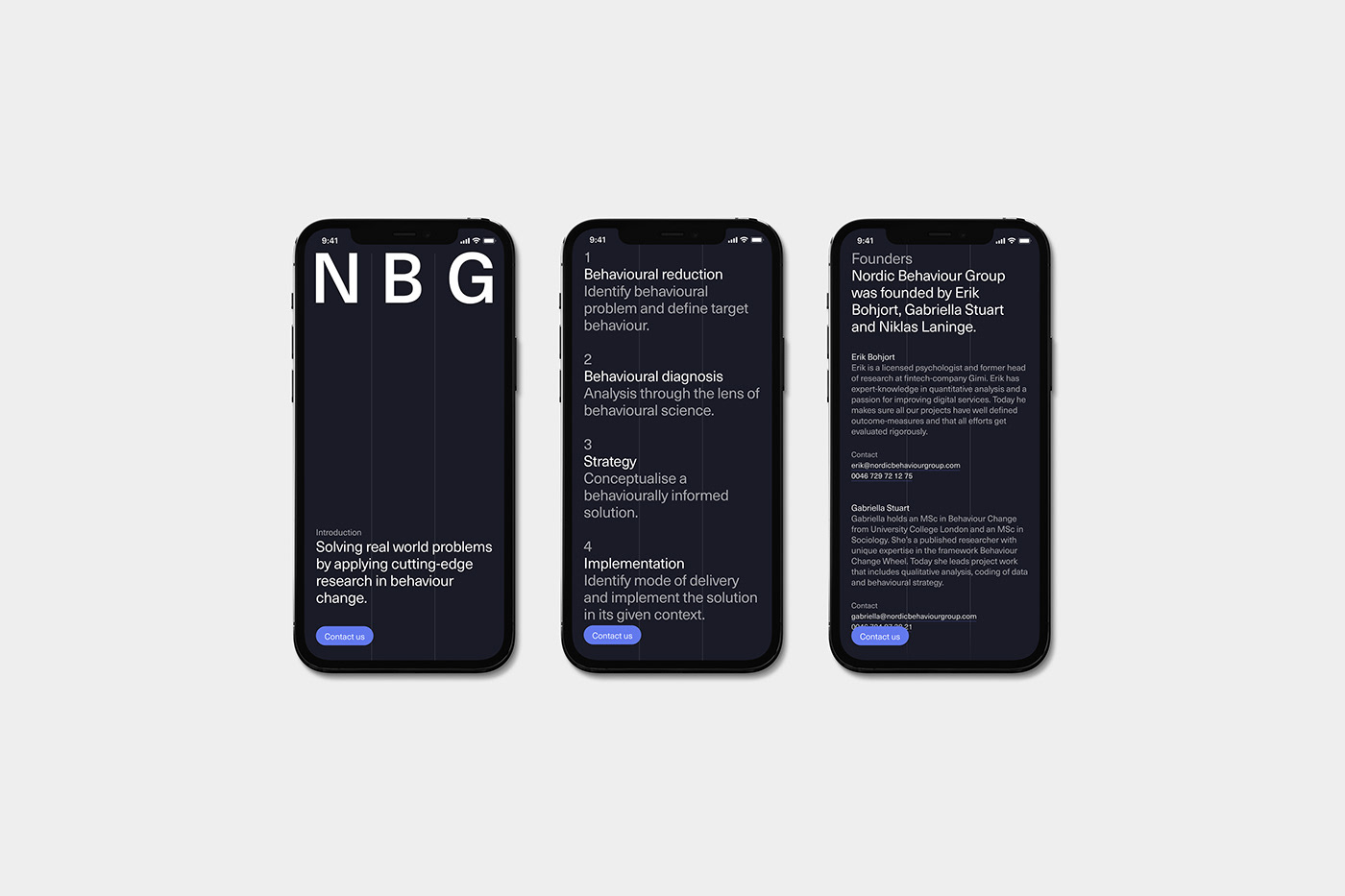 Branding and visual identity artifact from NBG project