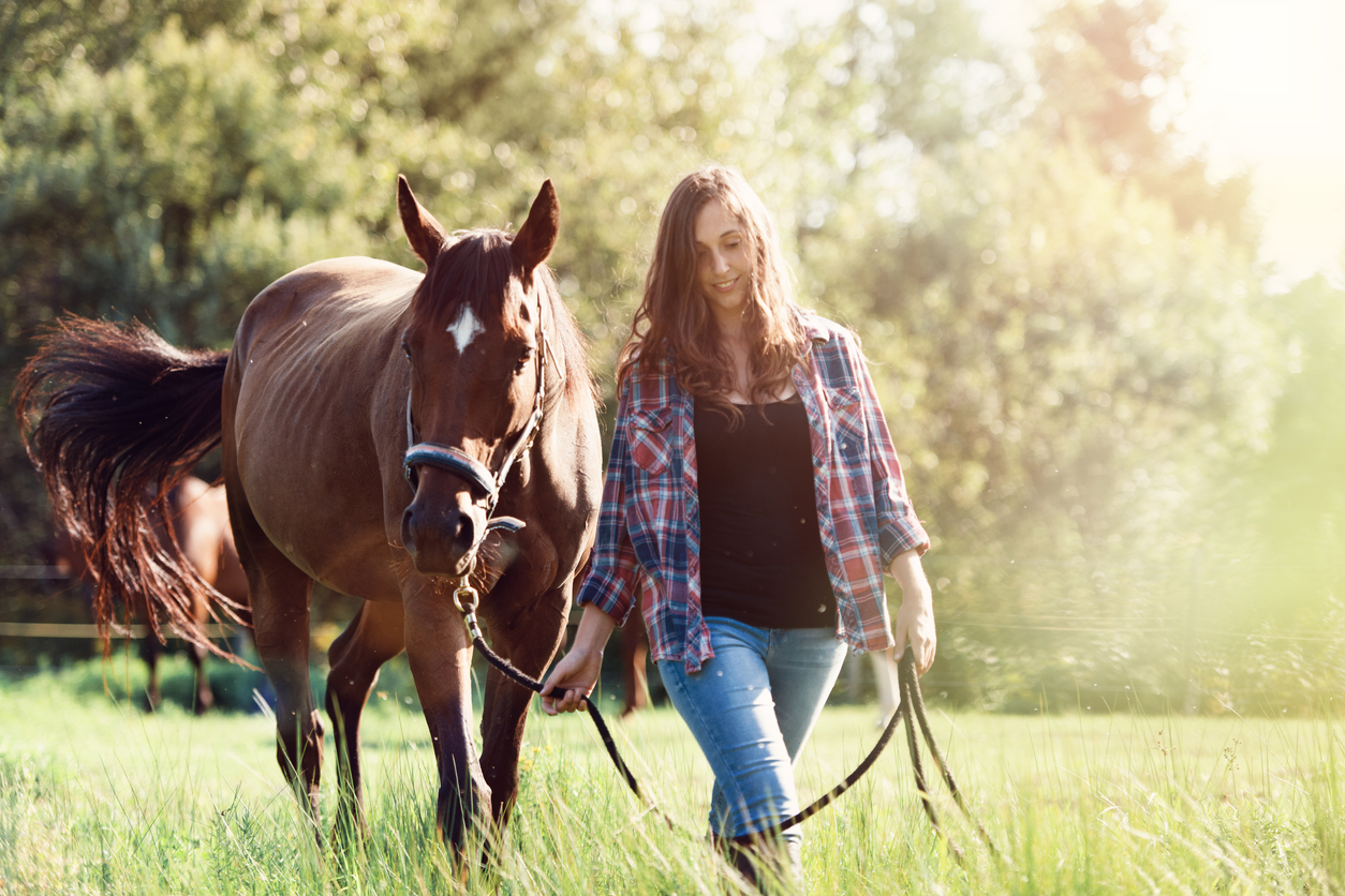 Benefits of Horse Anti-Inflammatory Supplements