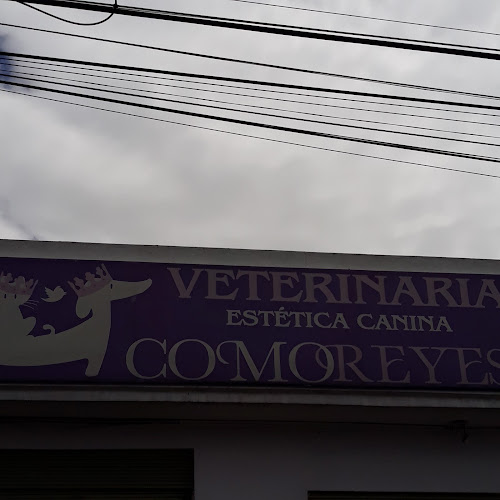 Opiniones de Veterinaria ComoReyes en Quito - Veterinario