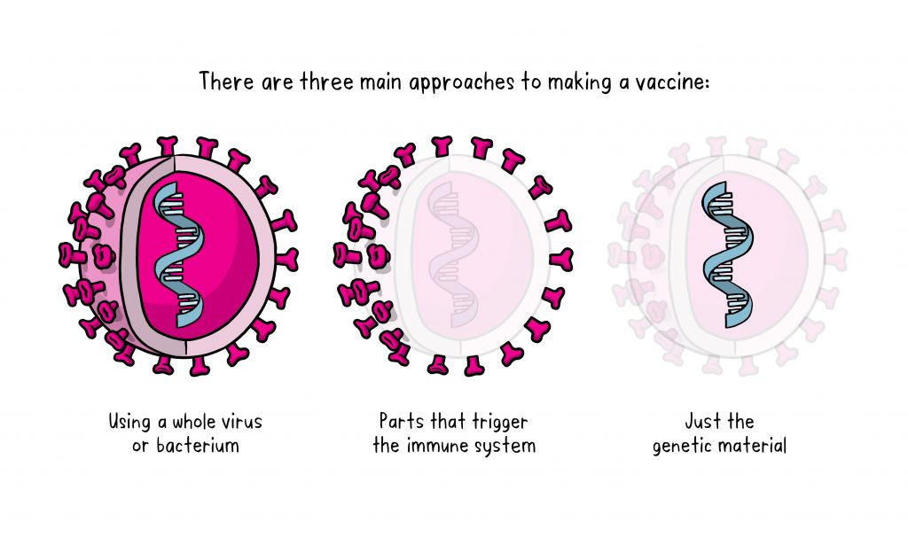 types of covid 19 vaccine