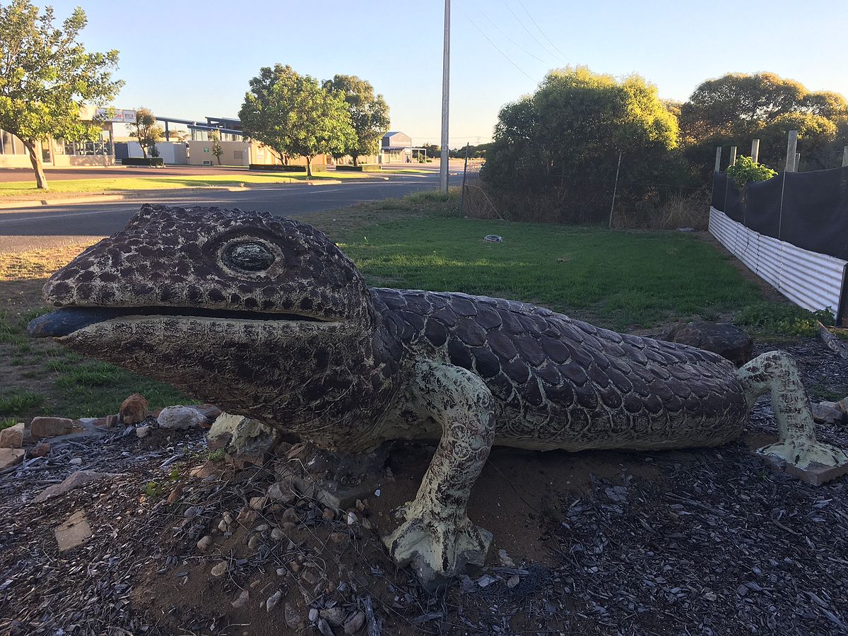 the big bobtail lizard sculpture in a park